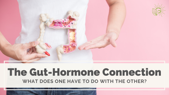 The Gut-Hormone Connection
